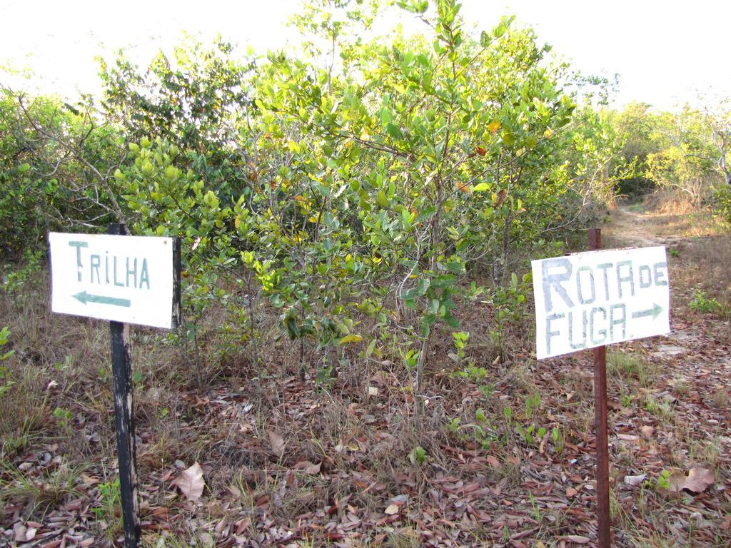 Hotel Fazenda Arara Azul Carolina  Kültér fotó