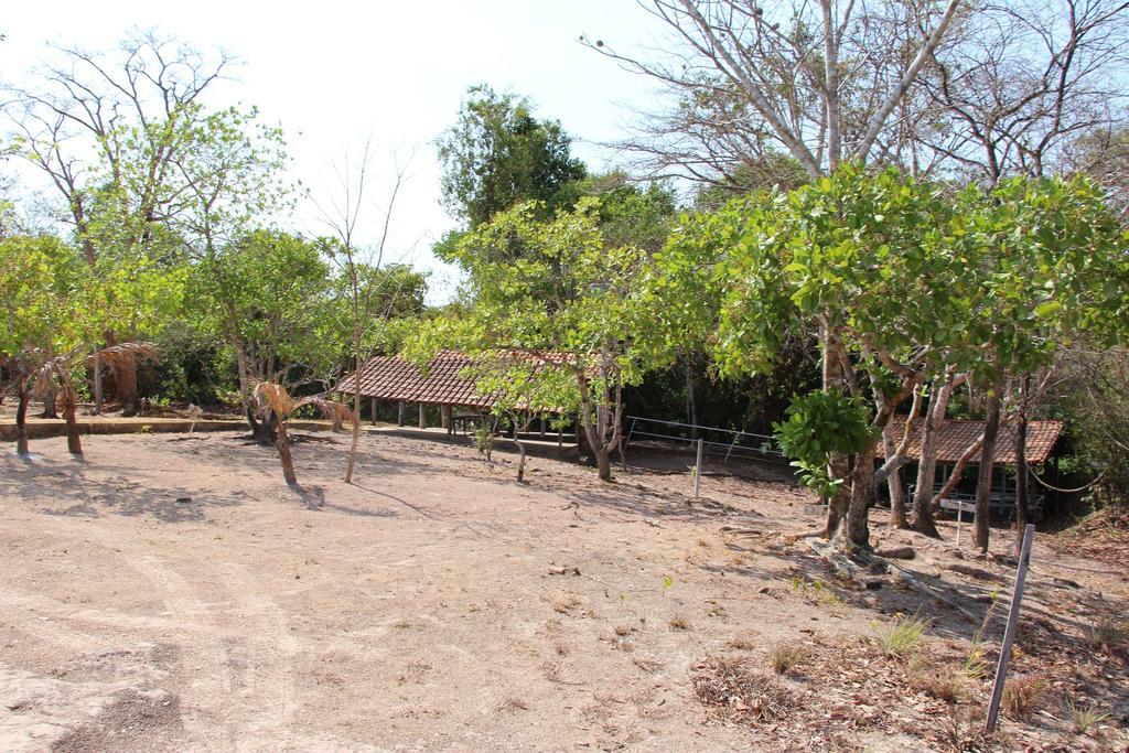 Hotel Fazenda Arara Azul Carolina  Kültér fotó